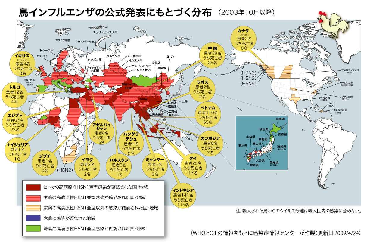鳥インフルエンザ（H5N1）発生国および人での発症事例（2003年10月以降）